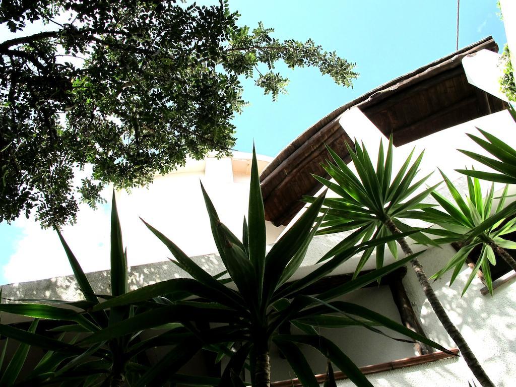 โรงแรมป็อป กาลาโกโนเน ภายนอก รูปภาพ